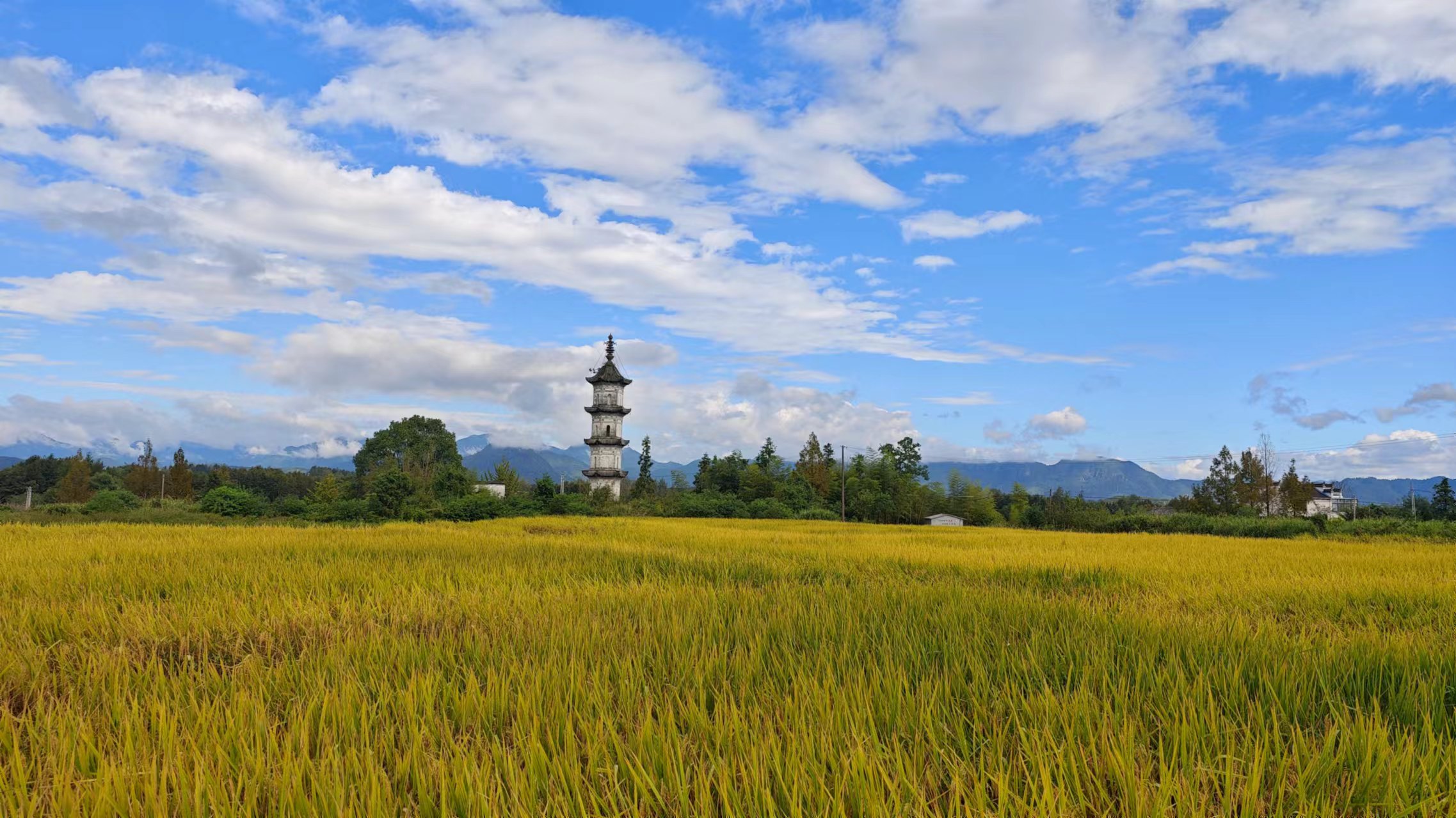 DAY5 - 碧山