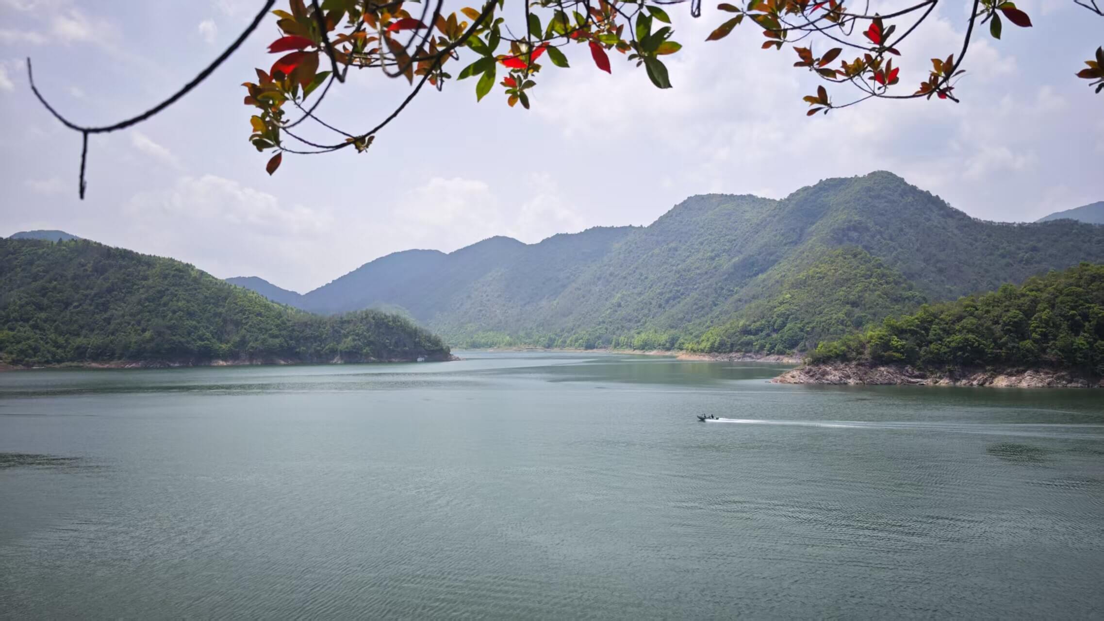 DAY2 - 寻源大青岗