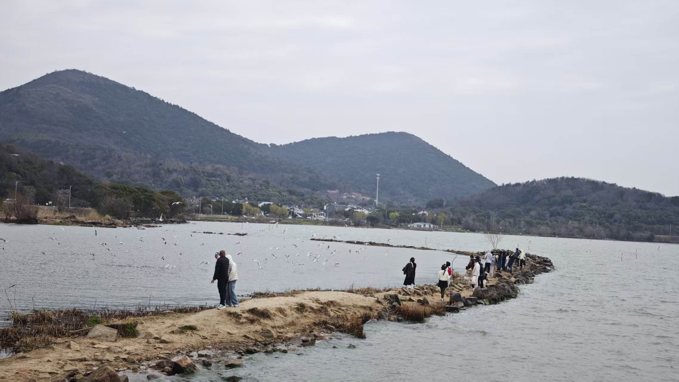 游记｜周末去了一趟苏州，找到了春天最舒服的打开方式