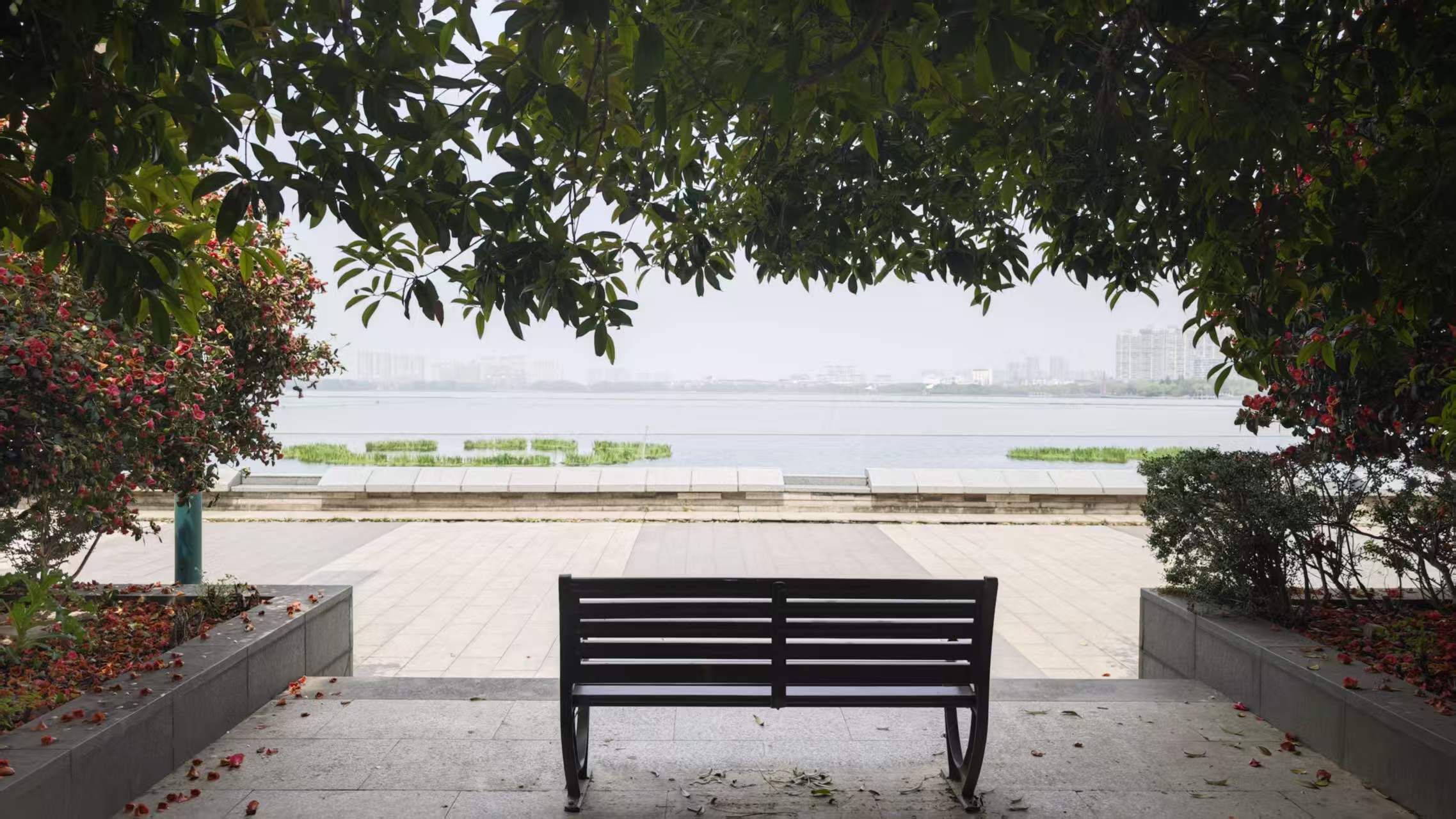 游记｜在宜兴度过一个平淡的假期